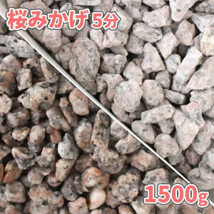 ݂ 5 (14-21mm) 1500g |    sN ~  e  a m K[f 뉀 GNXeA O\ ~ diy K[fjO | }`O    ~ yB T