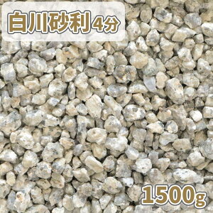 _|Cg10{!X[p[SALE!^썻 4 (10-14mm) 1500g [1000~N[|t] |     ~l߂  ~ ~  K[f a K[fjO | O\ GNXeA diy 