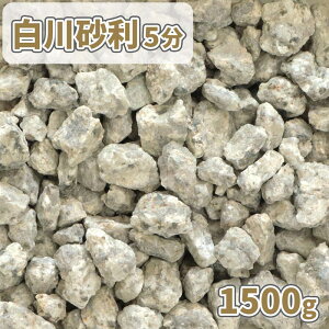 _|Cg10{!X[p[SALE!^썻 5 (14-21mm) 1500g [1000~N[|t] |    ~  K[fjO K[f ~l  ~ ύ a m ~  v^