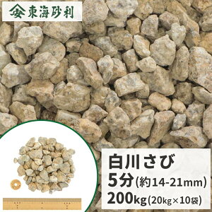 _|Cg5{!}\^삳э 5 (14-21mm) 200kg (20kg×10) |    K[fjO O\ ɕ~ F x[W a ~  Y GNXeA  ԏ 