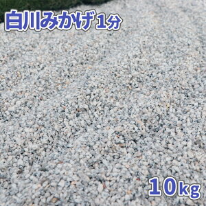白川 砂利の通販 価格比較 価格 Com