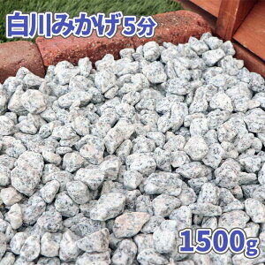 ݂ 5 (14-21mm) 1500g |    ~   O[ ~  a 뉀 e  ؒ }`O  WI} ͌^ _ m K[f diy K[fjO ~ 