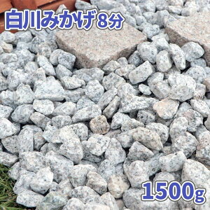݂ 8 (21-30mm) 1500g |     O[ ~  K[fjO ~  e   }`O 嗱 a _ ؒ  v^[ Ԓd ~ yB ~l߂ 