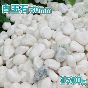 ʐ 30mm 1500gy1000~N[|tz|     zCg ʐ ʍ  ~  1.5L 傫 嗱 a m K[f | diy ύ ϐ }`O  A v^