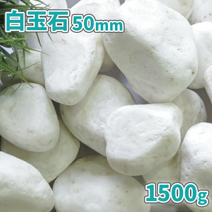 楽天市場】白玉石 50mm 1500g【1000円クーポン付】| 庭 砂利 おしゃれ 