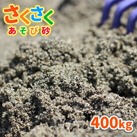 ＼ポイント10倍!スーパーSALE!／さくさくあそび砂 砂場用 400kg (20kg×20袋) [放射線量報告書付] | 砂場 砂 diy 庭 砂場の砂 砂遊び 子ども 外 孫 プレゼント 砂場用砂 砂遊び用 砂あそび 洗い砂 公園 砂場遊び 保育所 保育園 幼稚園 子供 こども 屋外 キッズ