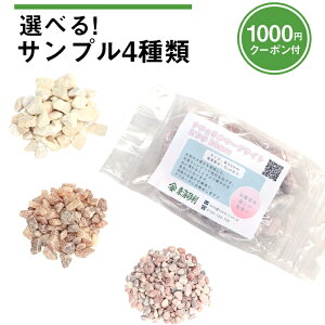 Iׂ! Tv 4ށy1000~N[|tz |  ʐ ʍ Ӑ {     ~   ύ  e ͎R   sN CG[ zCg ΍ 嗝 diy 