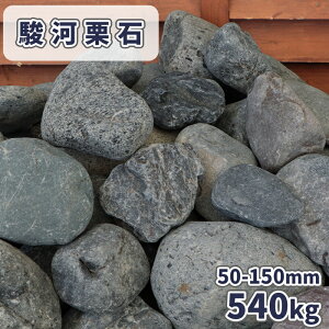 x͌I 50-150mm 540kg (18kg×30) |      ̔  傫  ʐ  O[ u bNK[f u ϐ ΍ K[f Xg[ bN 낽  diy O\ 