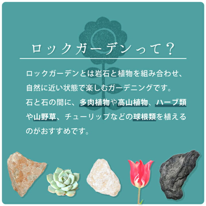 楽天市場 送料無料 白玉石 100 150mm 100kg kg 5袋 庭 石 白 おしゃれ ガーデニング 園芸 Diy 外構 エクステリア ガーデン 造園 ホワイト 栗石 ゴロタ 五郎太 ごろた ロックガーデン ドライガーデン 白い石 土留め石 花壇 縁石 大きめ 大 丸石 和 洋