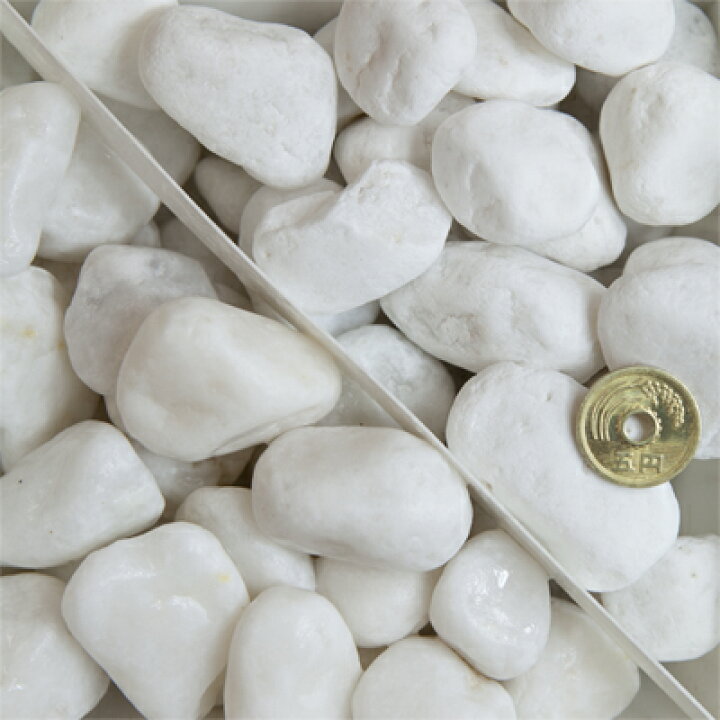 雪のような白が特徴です 送料無料 白玉石 15mm 5kg 砂利 庭 白 ホワイト 石 小石 玉石 白い石 丸 丸石 玉砂利 玉石砂利 エクステリア 天然 化粧砂利 敷石 敷き砂利 ガーデニング ガーデン 園芸 玄関 アプローチ 庭園 和風 和庭 洋風 洋庭