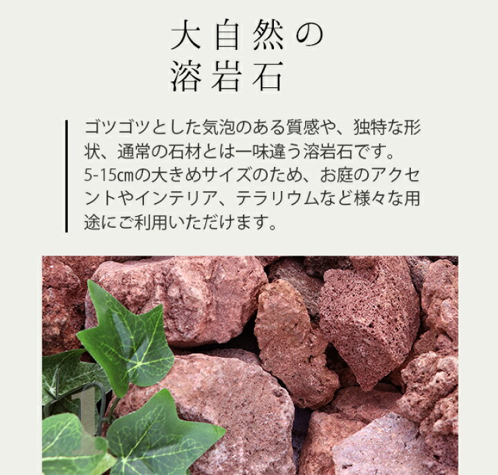 楽天市場 送料無料 溶岩石 レッド 50 150mm 50kg 10kg以上 5箱 庭 岩 石 おしゃれ 庭石 Diy ガーデニング 園芸 溶岩 赤 レイアウト ロックガーデン ドライガーデン 花壇 縁石 置石 熔岩 岩石 火山岩 Red レッド 天然 アクアリウム ビオトープ 石庭 水槽