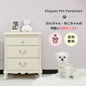 yybgpƋz `FXg ybgpi gCV[gXgbJ[ i [I 3i ؐ xr[p `FXg  L Lr m `FXg 킢 IV ߗގ[ zCg GK