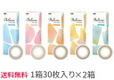 【2箱セット送料無料】【30枚入り×2箱】シード　ベルミー【30枚パック】サークルレンズ　うるおい成分入り　カラコン　Belleme　1day