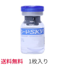 【送料無料】シード スカイ【1枚入り】SEED　SKY　コンベンショナル　sky　近視用　★期限間近のため大特価！★