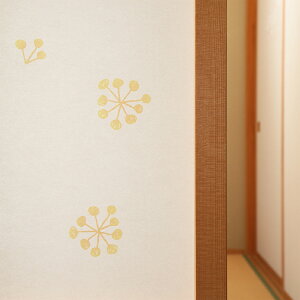 DECOq@~U@Ft[TCYiꖇ\jy94cm×2mz