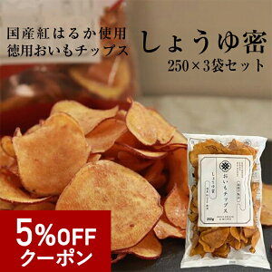 y5%OFFN[|zlĈ`bvX傤䖨̒TCYłB Y̍g͂邩̊ÂiȖƌyȎy݂I