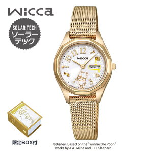 V`Y EBbJ DisneyRNVw܂̃v[x XyVf ʌ 600{ \[[ebN AiO ^  S[h  zCg Ki fB[X CITIZEN wicca 