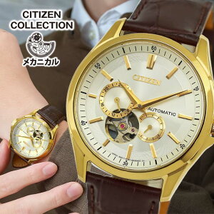 y񂹁zV`Y RNV CITIZEN COLLECTION NP1013-02P rv v @B JjJ  AiO vxg U[  S[h  uE Ki Y