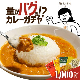 1000円ポッキリ 送料無料 カレー ガチャ 楽天 お試し 食品 レトルトカレー ご当地カレー 詰め合わせ レンジ対応 福袋 2026 高知 プチギフト 買い回りマラソン 面白い プレゼント ギフト おすすめ ご当地 グルメ カレーセット ご当地グルメ 特産品 高知 カレー