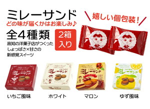 1000~|bL  I AbvGA^O Apple AirTag n[Zbg [Og[J[ NERUS  |P Z-A switch2\tg 邩 ~[rXPbg ~[Th  2026 