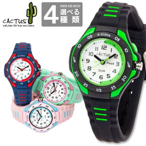 CACTUS JN^X CAC-116 LbY EHb` qp rv v AiO Cgt  ubN  O[  bh  u[ lCr[ sN F av[g j wj v[