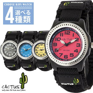 CACTUS JN^X CAC-45 LbY EHb` AiO v qp rv iC  bh F CG[  u[  ubN 킢 av[g j wj v[g N