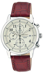 [10Nۏ] SEIKO SNDC31P1 ZCR[ NI[c NmOt 100mh [tAf]