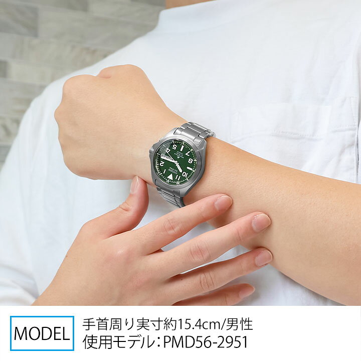 楽天市場】CITIZEN シチズン PROMASTER プロマスター チタン エコ 