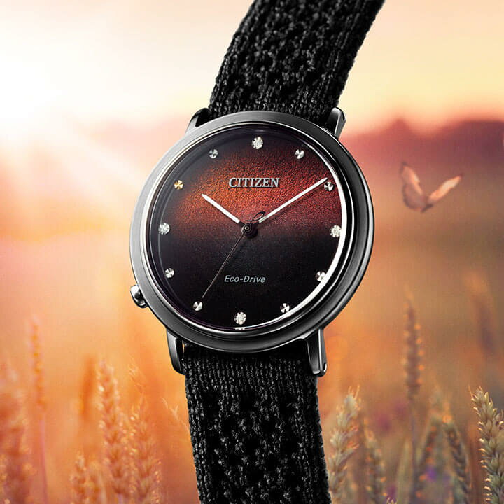 楽天市場】【お取り寄せ】【スカーフ付き】シチズン エル アンビリュナ  