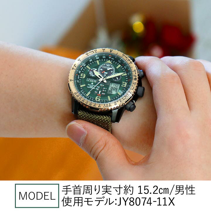 楽天市場】【お取り寄せ】シチズン プロマスター パイロット エコ  