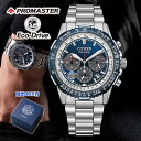 シチズン プロマスター SKYシリーズ Blue Impulse限定モデル ブルーインパルス エコドライブ アナログ メタル ステンレス シルバー 銀 ブルー 青 国内正規品 メンズ 腕時計 CITIZEN PROMASTER CA4665-59L
