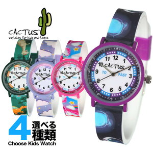 CACTUS JN^X CAC-143 LbYEHb` v qp rv AiO  p[v sN  O[ j Əj wj wZ v[g NX}Xv[g q w j̎q