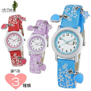 CACTUS JN^X CAC-28 LbY EHb` v qp rv AiO E^ oh  u[ sN  p[v 킢 av[g j wj v[g wZ ̎q 