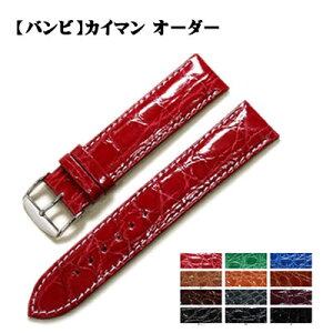 y󒍐YzBAMBI or JC} jv I[_[ { vxg 6mm`22mm