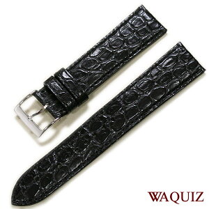 SEIKO WAQUIZ NCY NR_C jv {v vxg ZCR[ rv xg v xg ւxg  18mm 19mm 20mm 