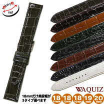 楽天市場】クロコダイル 18mmの通販