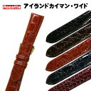 ロコッテ アイランドカイマン クロコダイル ワニ革 本革 ワイド 時計ベルト 抗菌 防臭 21mm 22mm 24mm 時計 ベルト 替えベルト 送料無料