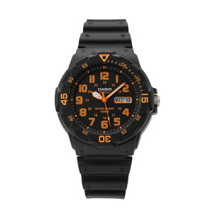 CASIO JVI STANDARD X^_[h `[vJVI rv v Y fBX jZbNX AiO Vv 3j t fC j fCg _Co[ h JWA AEghA X|[c 