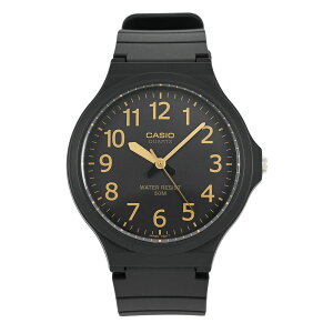 CASIO JVI STANDARD X^_[h `[vJVI rv v Y fB[X jZbNX AiO x[VbN  Eh JWA y Vv o[  h ubN  MW-24