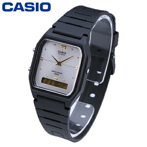 CASIO JVI STANDARD X^_[h `[vJVI rv v Y fB[X jZbNX AiO fW^ AifW XNGA JWA Vv NVbN o[  ubN  