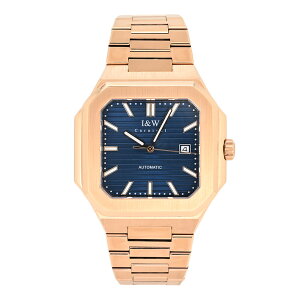 I��W Carnival �A�C�A���h�_�u�����[�J�[�j�o�� IW55875RG-3G �A�i���O �������� �X�N�G�A �����Y�r���v �v���[���g �M�t�g 1�N�ۏ� ��������