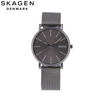 楽天市場】スカーゲン クォーツ（腕時計）の通販 ほぼ新品 SKAGEN 