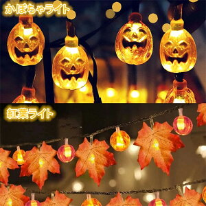 nEB  LED J{`Cg gtCg t 30/40LEDd 6m nEB 胉Cg XgOXCg pvLCg ͋C DIY  O   Ɩ y 