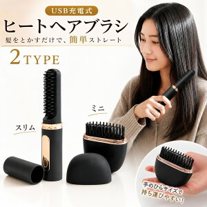 �q�[�g�u���V �R�[�h���X USB�[�d�� �q�[�g�w�A�u���V �X���� �~�j 2�^�C�v Type-C �[�d�� �X�g���[�g�u���V �w�A�u���V �w�A�A�C���� �u���V�^ �R���p�N�g �����^�� �O�� �Q�������� ������ ��