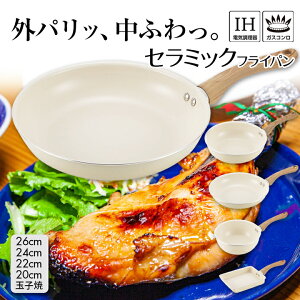 Z~bN tCp Z~bNtCp  OfCEEBY y [^  ʎqĂ ł łtȂ ԊO KX  IH S g 20cm 22cn 24cm 26cm