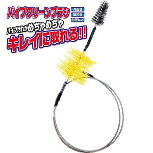 zȉ ydi ACfAizpCvN[uV 77cm C[uV z[XpCvuV