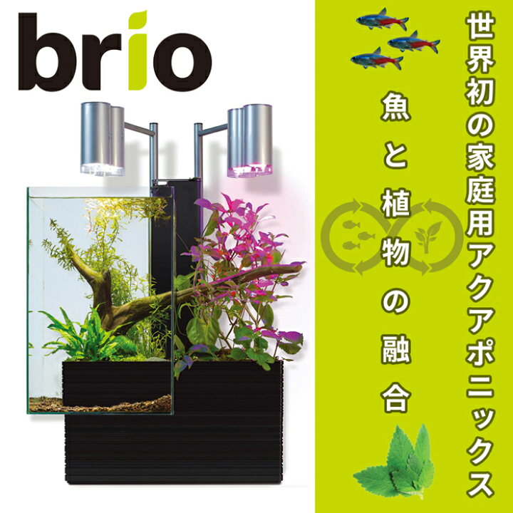 完売 魚と植物がセットで楽しめる 家庭用アクアポニックス brio35 ブリオ 60Hz地域用 西日本 ブラック BRIO35-BW  www.dexion.com.au