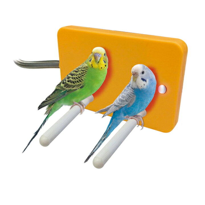 注目の マルカン ほっととり暖寄りそいヒーター RH-211 鳥用ヒーター e-ependyseis.com.gr 注目の マルカン ほっととり暖寄りそいヒーター RH-211 鳥用ヒーター e-ependyseis.com.gr