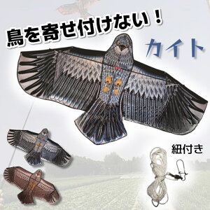 悯 JCg  悯ObY ǂJCg 悯΍ XY JX   _Ǝ  ʎ