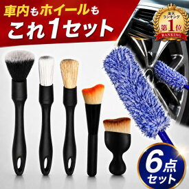 【楽天1位】 洗車ブラシ 傷つかない 6種類 6本セット 車 クリーニングブラシ 筆 柔らかい ディテールブラシ ホイール ボディ用 バイク 車内 車外 大掃除 ギフト 洗車グッズ 隙間 ソフト ロング トラック 豚毛 スタイリッシュ コンパクト